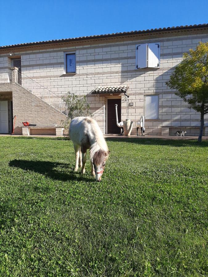 Le Due Sorelle Vila Ancona Exterior foto